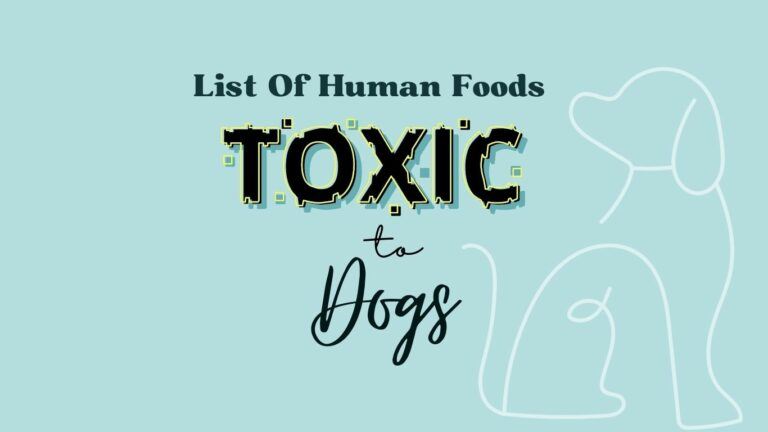 List Of Human Foods Toxic To Dogs