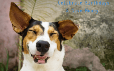 dog birthday ideas