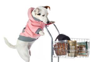 dogs can enjoy shopping during vacation