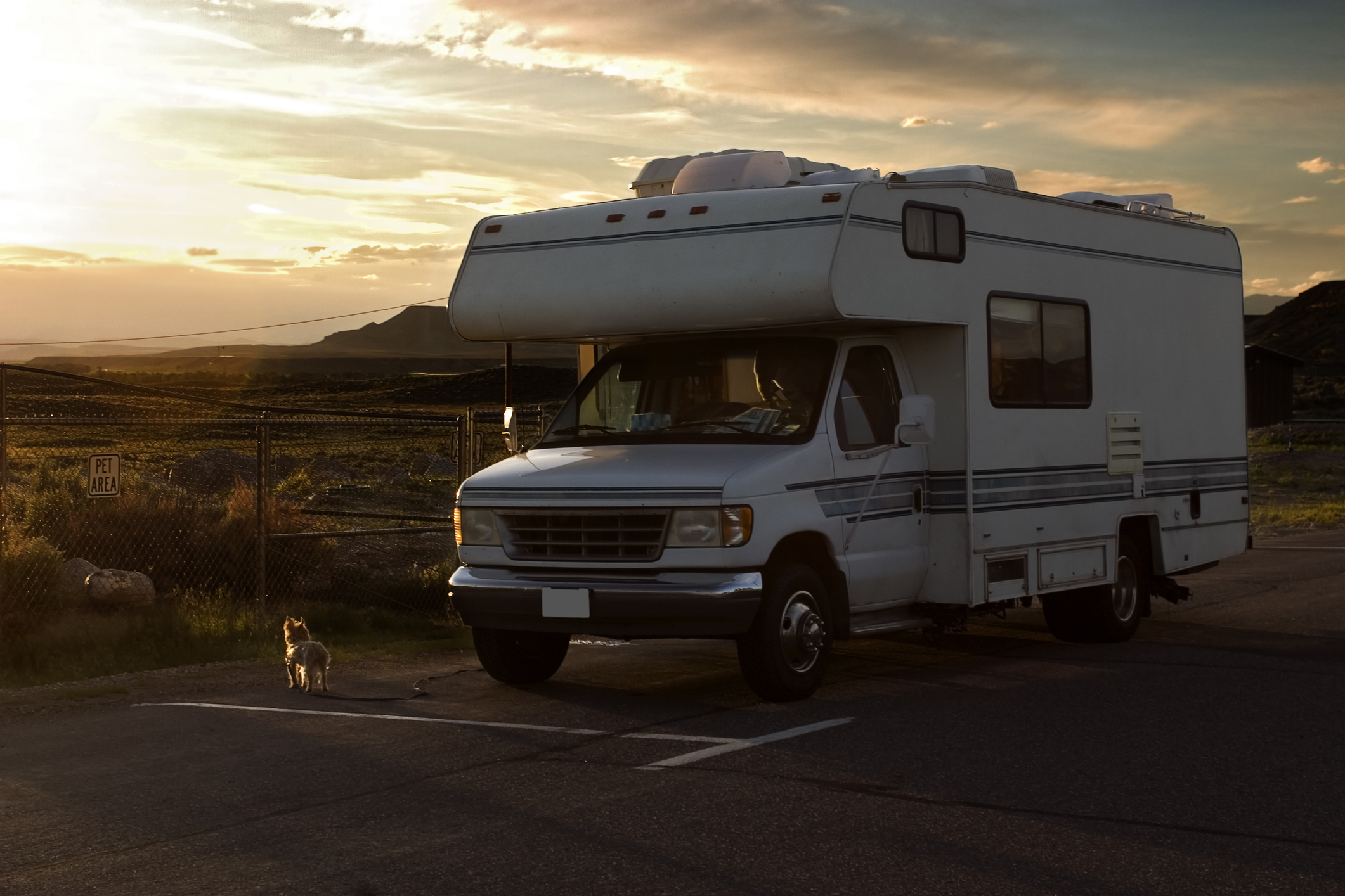 traveling with a dog for recreation