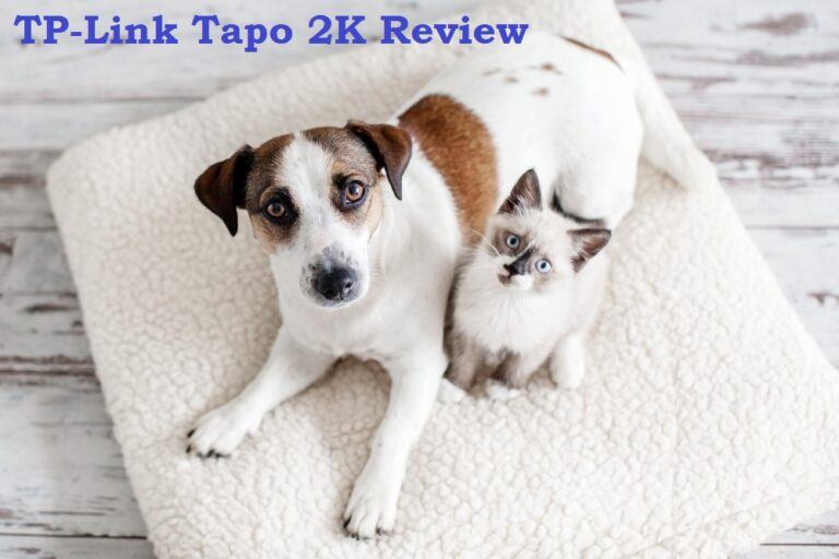 TP-Link Tapo 2K Review- Do You Have a Dog Camera?