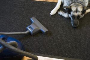 bissell pet vacuum