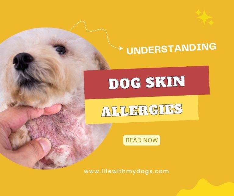 Understanding Dog Skin Allergies