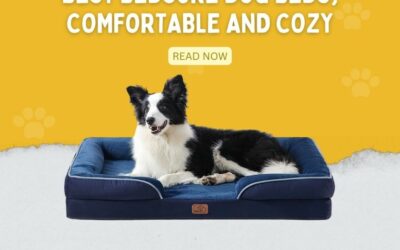 Best BedSure Dog Beds, Comfortable and Cozy