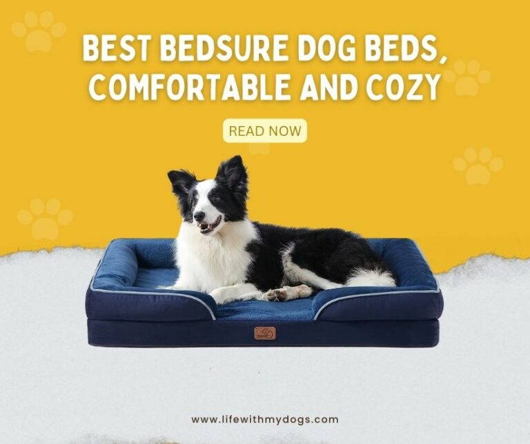 Best BedSure Dog Beds, Comfortable and Cozy