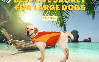 Best Life Jacket for Large Dogs