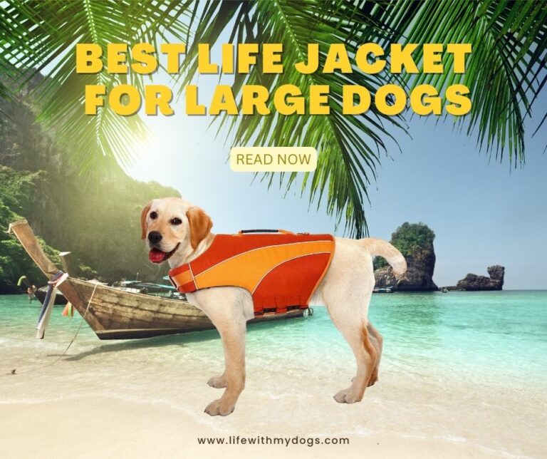 Best Life Jacket for Large Dogs