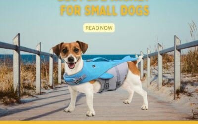 Best Life Jacket for Small Dogs