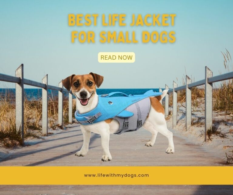 Best Life Jacket for Small Dogs