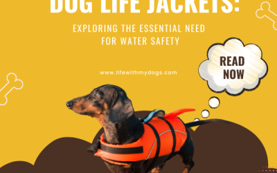 Dog Life Jackets Exploring the Essential Need for Water Safety