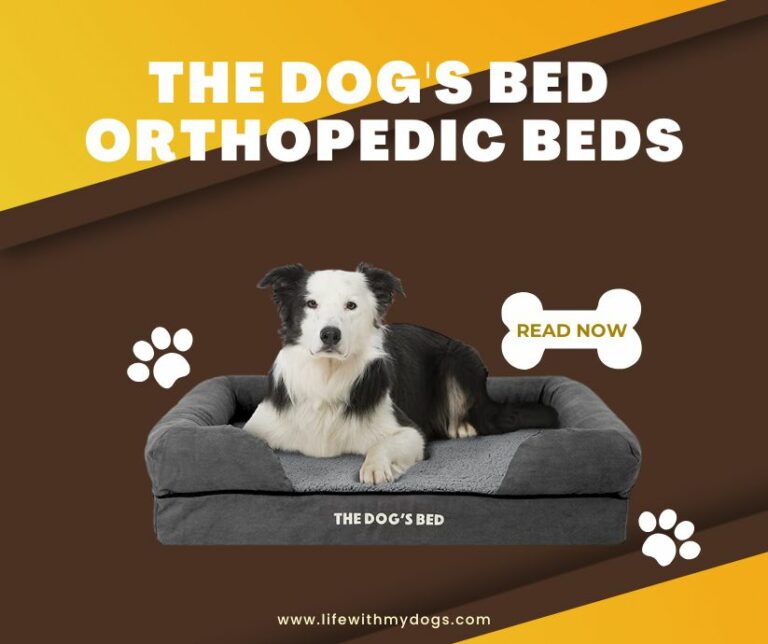 The Dog’s Bed Orthopedic Beds