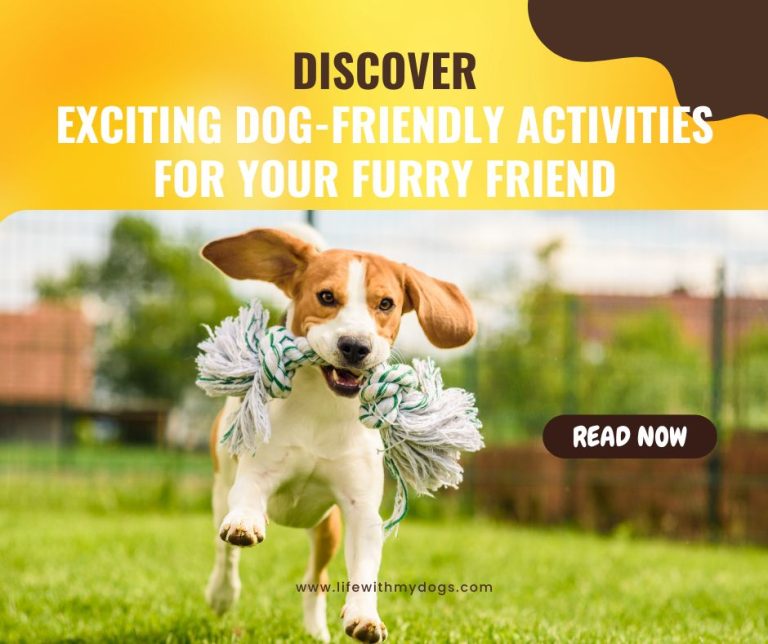 Discover Exciting Dog-Friendly Activities for Your Furry Friend