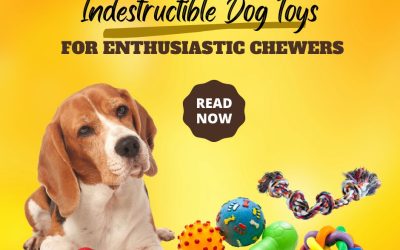 Indestructible Dog Toys For Enthusiastic Chewers