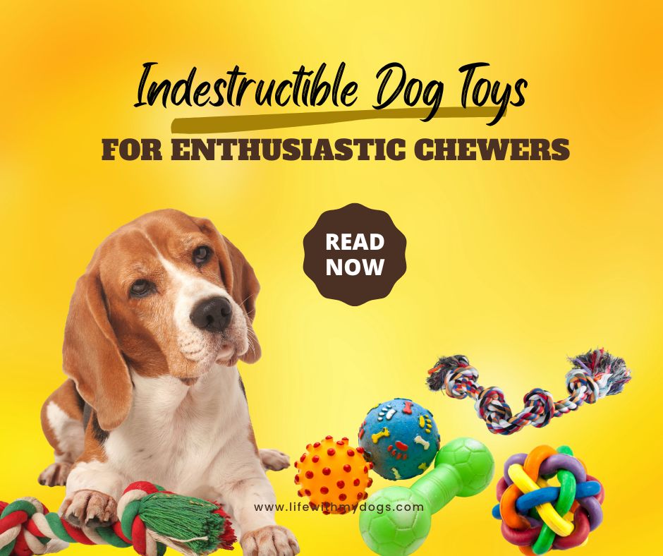 Indestructible Dog Toys For Enthusiastic Chewers