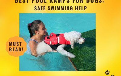 Best Pool Ramps for Dogs Safe Swimming Help