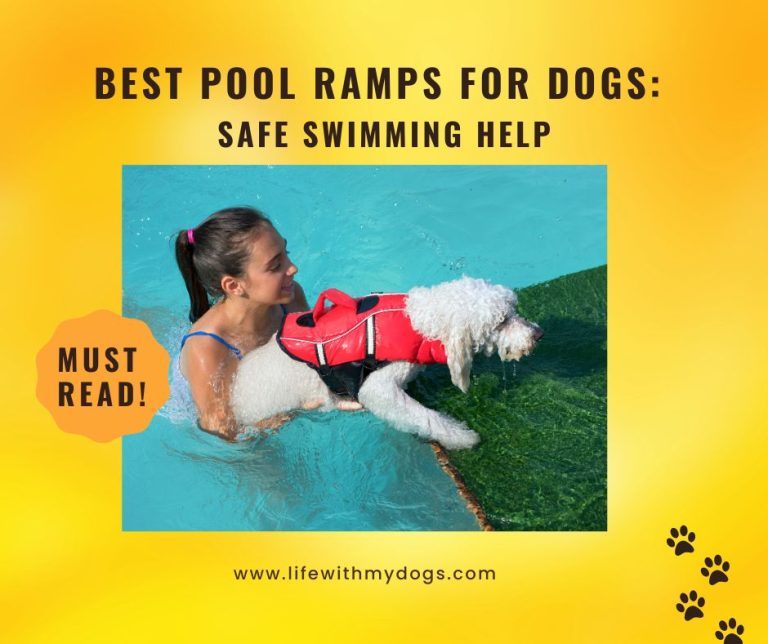 Best Pool Ramps for Dogs: Safe Swimming Help