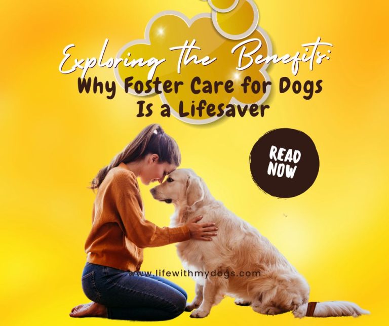 Exploring the Benefits: Why Foster Care for Dogs Is a Lifesaver