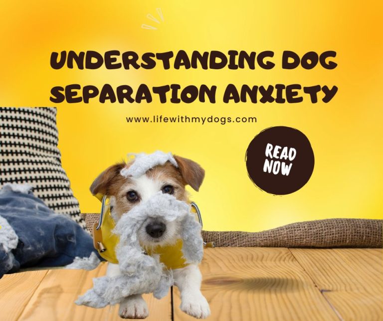 Understanding Dog Separation Anxiety