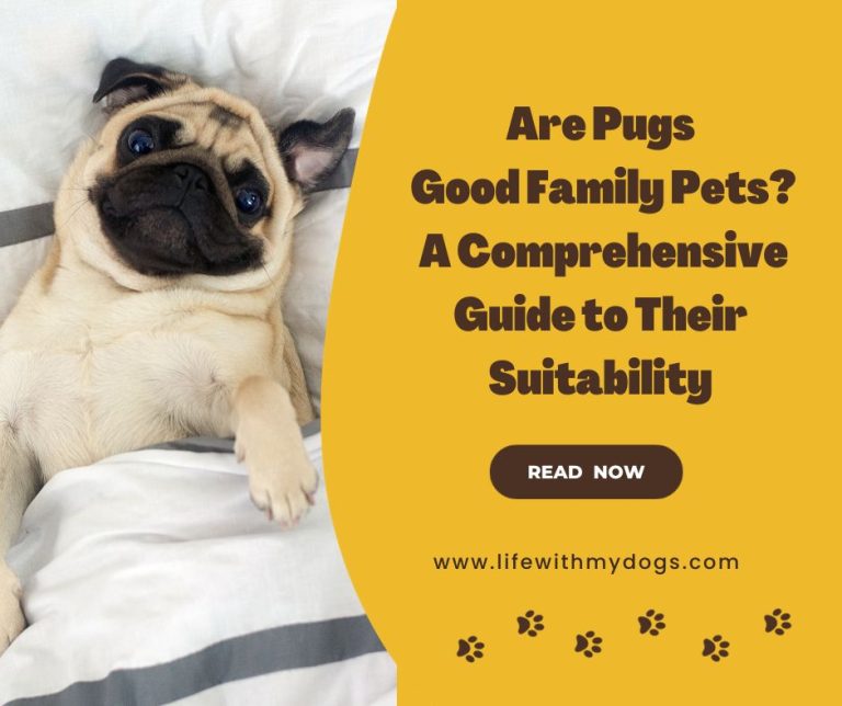 Are Pugs Good Family Pets? A Comprehensive Guide to Their Suitability