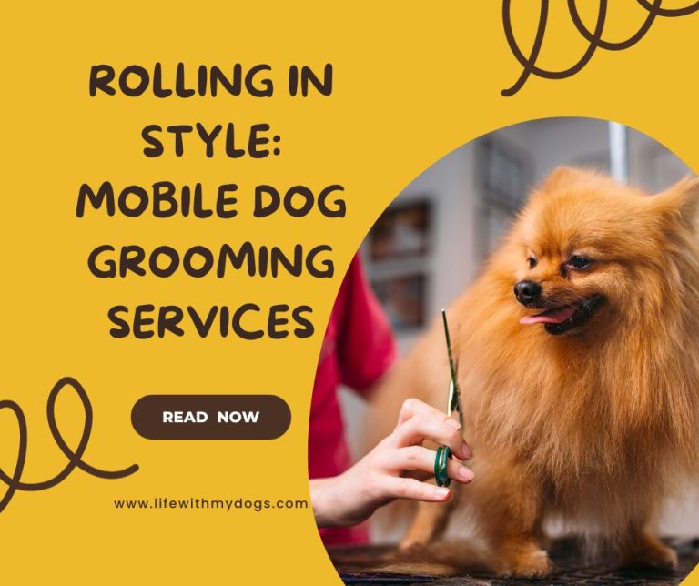 Rolling in Style: Mobile Dog Grooming Services