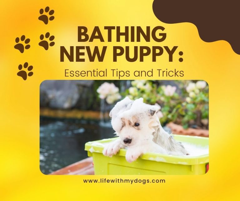 Bathing New Puppy: Essential Tips and Tricks