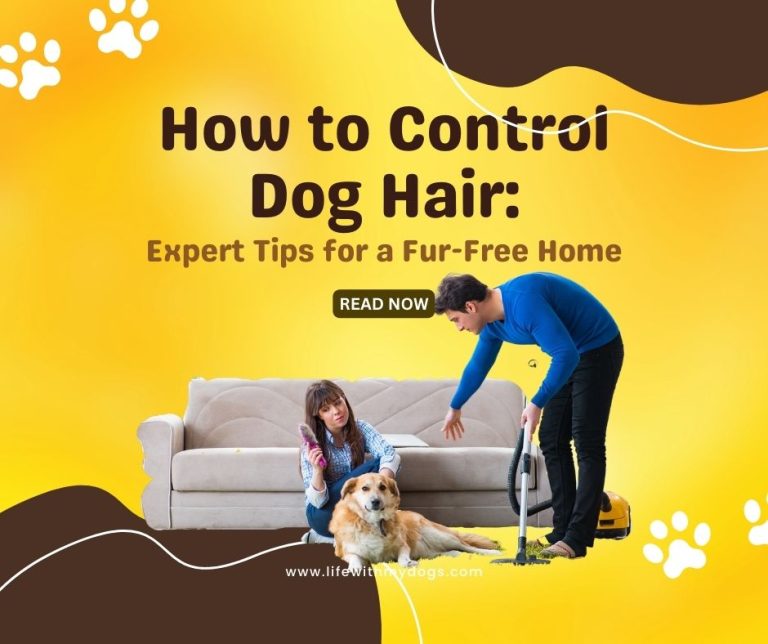 How to Control Dog Hair: Expert Tips for a Fur-Free Home