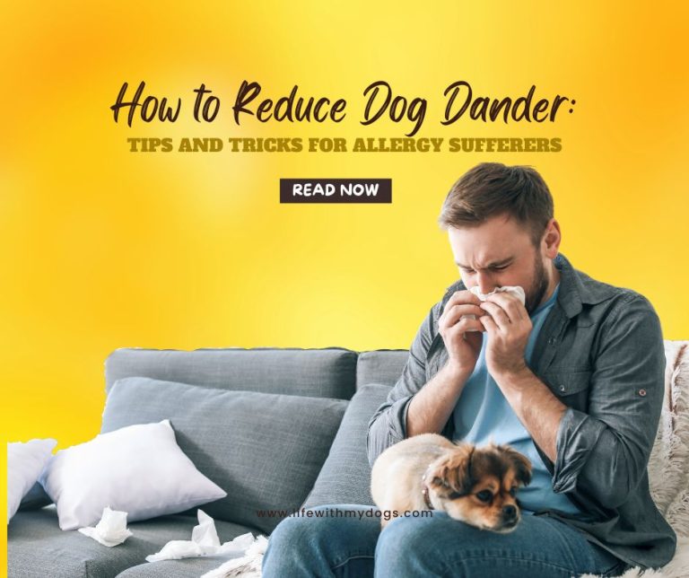 How to Reduce Dog Dander: Tips and Tricks for Allergy Sufferers