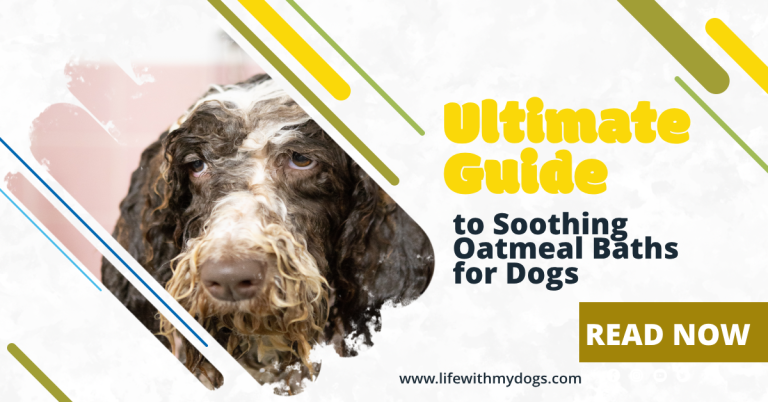 Ultimate Guide to Soothing Oatmeal Baths for Dogs